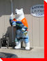 Polar Bear - Altona, Manitoba