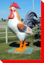 Rooster - Airdrie, Alberta