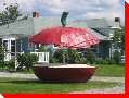 Apple Stand - Aylmer, Ontario