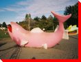 Big Pink Fish, Victoria, British Columbia