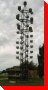 Purple Martin Colony - Boissevain, Manitoba