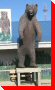 Bear - Boissevain, Manitoba