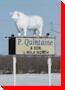 White Bull - Brandon, Manitoba