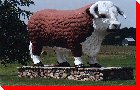 Big Bruce the Bull - Chesley, Ontario