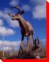 Buckhorn Buck - Buckhorn, Ontario