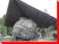 World's Largest Burl - Port McNeil, British Columbia