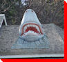 Shark Head - Canvendish, Prince Edward Island