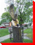 Strange Bird - Chippawa, Ontario