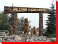Bears - Chetwynd, British Columbia