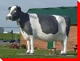 Ms. Claybelt the Cow - Temiskaming Shores, Ontario