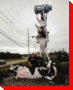 Three Cows - Sault Ste. Marie, Ontario