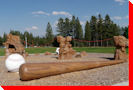 Baseball and Bat - Cranbrook, British Columbia