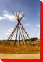 Giant Teepee Poles - Cutler, Ontario