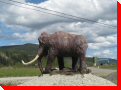 Mammoth - Dawson City, Yukon