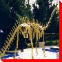 Brontosaurus - Sudbury, Ontario