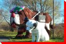 Dogs - Beaupre, Quebec
