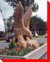 Eagle - Powassan, Ontario