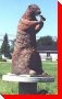 Groundhog - Fauquier, Ontario