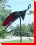 Fish Hook - Blackville, New Brunswick