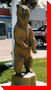 Bear - Fort St. John, British Columbia