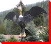 Phoenix - Greenwood, British Columbia