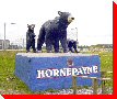 Bears - Hornepayne, Ontario