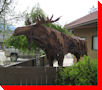 Rusty the Moose - Invermere, British Columbia