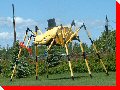 Volkswagon Spider - Kenora, Ontario