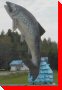 Lake Trout - Larder Lake, Ontario