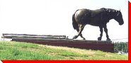 Horse Pulling Logs - Longlac, Ontario