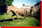 Teamster and Horse - Massey, Ontario
