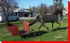 Horse and Sleigh - Massey, Ontario