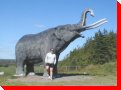 Mastodon - Stewiacke, Nova Scotia