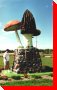 Mushrooms - Meleb, Manitoba