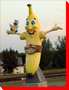 Sunny the Banana and Breezy the Blue Jay - Melita, Manitoba