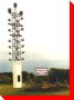 World's Largest/Tallest Purple Martin Colony - Neepawa, Manitoba