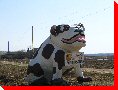 Bull Dog - New Hamburg, Ontario
