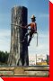 Upper Skeena Logger - New Hazelton, British Columbia
