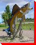 Walleye (Pickeral) - Opasatika, Ontario