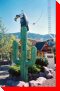 Vulture and Cactus - Osoyoos, British Columbia