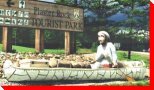 Voyageur - Plaster Rock, New Brunswick