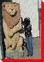 Lion - Plaster Rock, New Brunswick