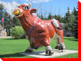 Bull - Russell, Manitoba