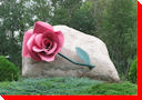 Rose - Sandy Lake, Manitoba