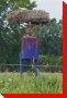 Scarecrow - Havelock, Ontario