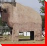 Buffalo - Swift Current, Saskatchewan