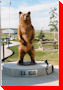 Grizzly Bear - Saskatoon, Saskatchewan