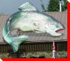 Salmon - Sicamous, British Columbia