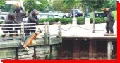 Fishing Bears - Sault Ste. Marie, Ontario