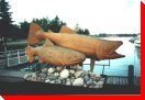 Salmon - Sault Ste. Marie, Ontario